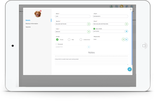 kumoVet EMR interface