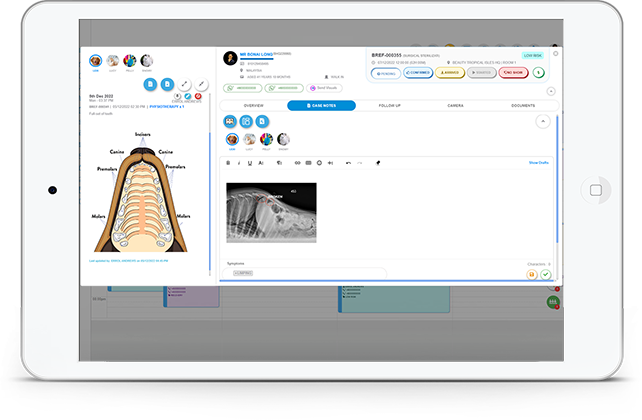 kumoVet Medical Case Notes of treatments and diagnoses Interface