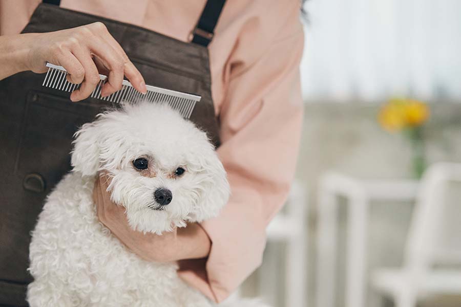 Pet Grooming Centres