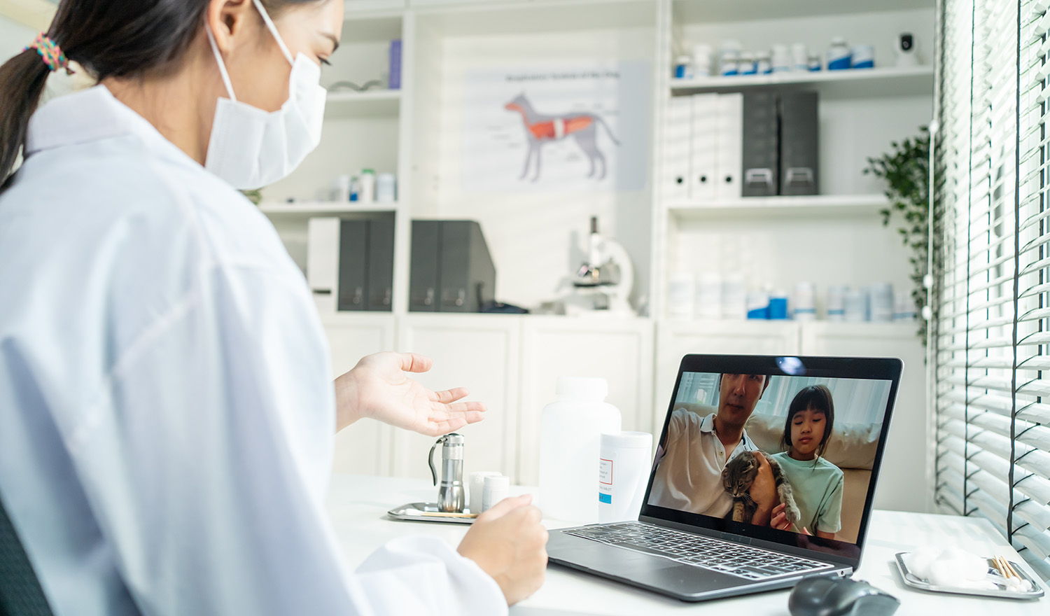 KumoVet Telehealth
