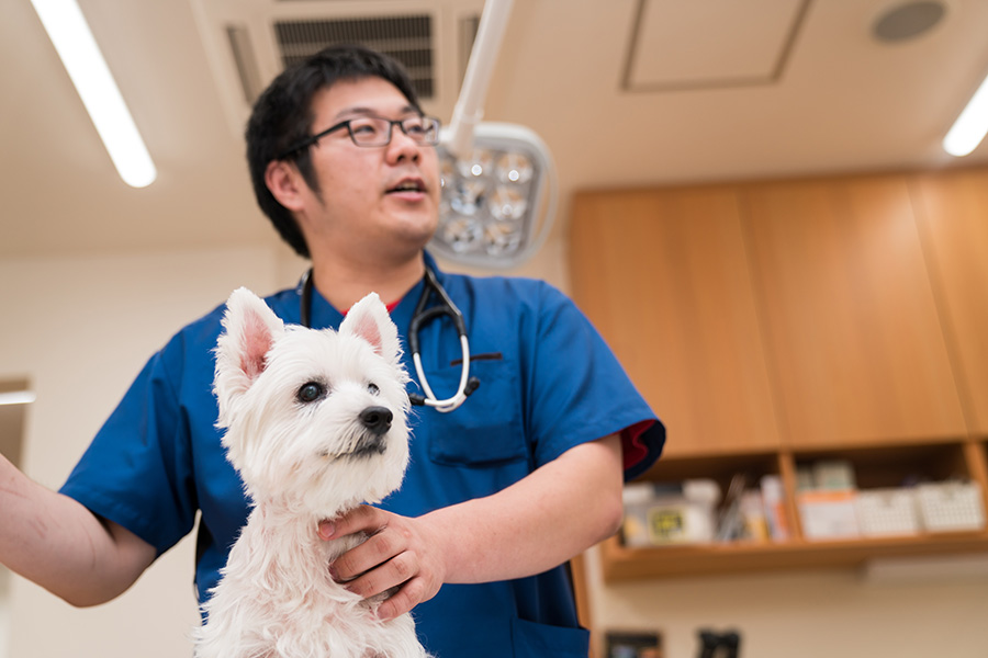 Animal Medical Centres