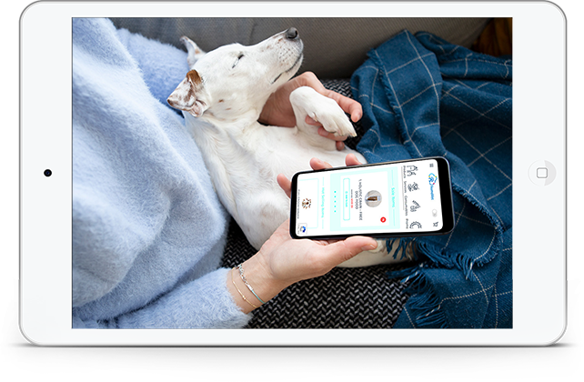 kumoVet Webstore & Metime Wellness