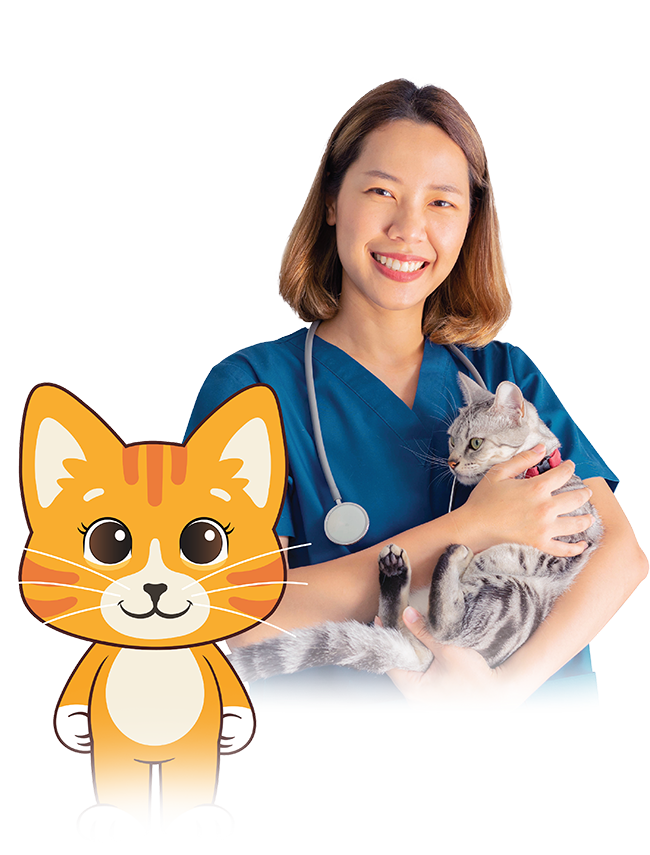 Smiling veterinarian holding a grey cat next